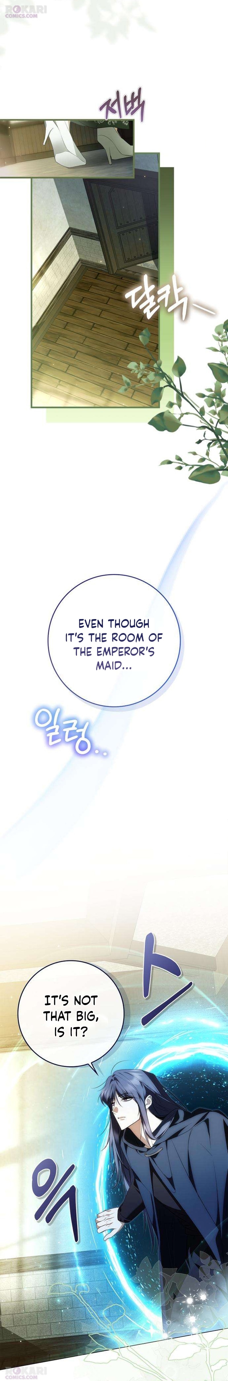 The Maid Gets on the Emperor’s Nerves Chapter 18 page 29 - 
