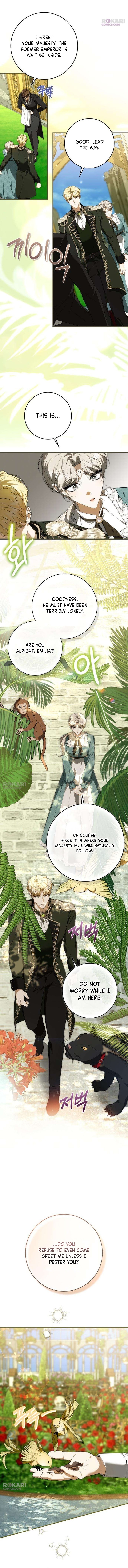 The Maid Gets on the Emperor’s Nerves Chapter 29 page 11 - 