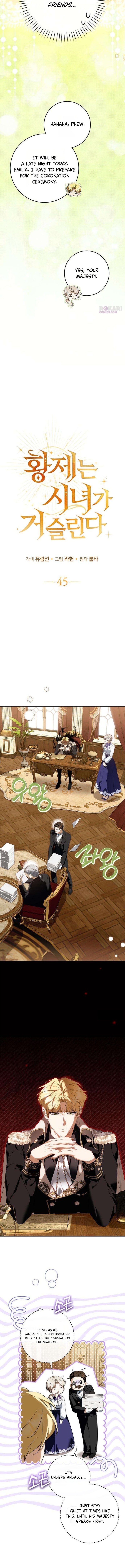 The Maid Gets on the Emperor’s Nerves Chapter 45 page 14 - 
