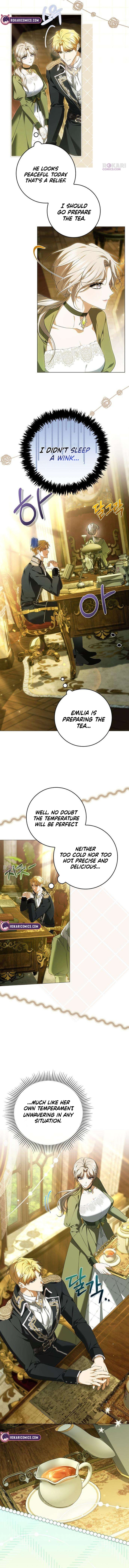 The Maid Gets on the Emperor’s Nerves Chapter 9 page 4 - 