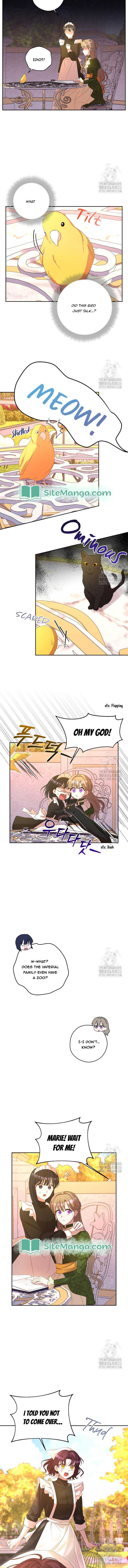 The Maid With A Dictator On A Leash Chapter 44 page 3 - 