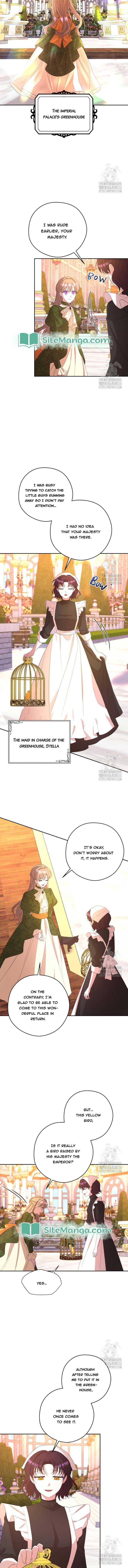 The Maid With A Dictator On A Leash Chapter 44 page 5 - 