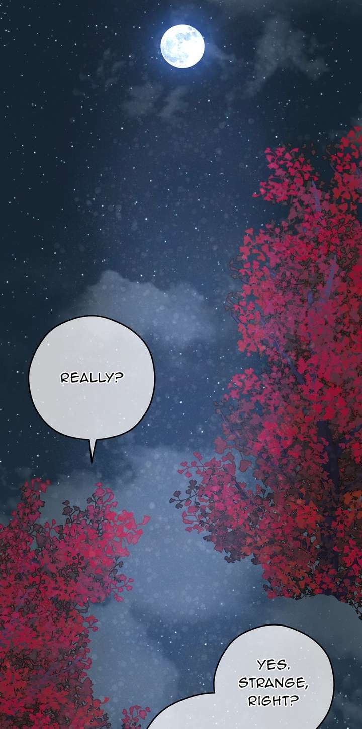 The Maid With A Dictator On A Leash Chapter 52 page 42 - 
