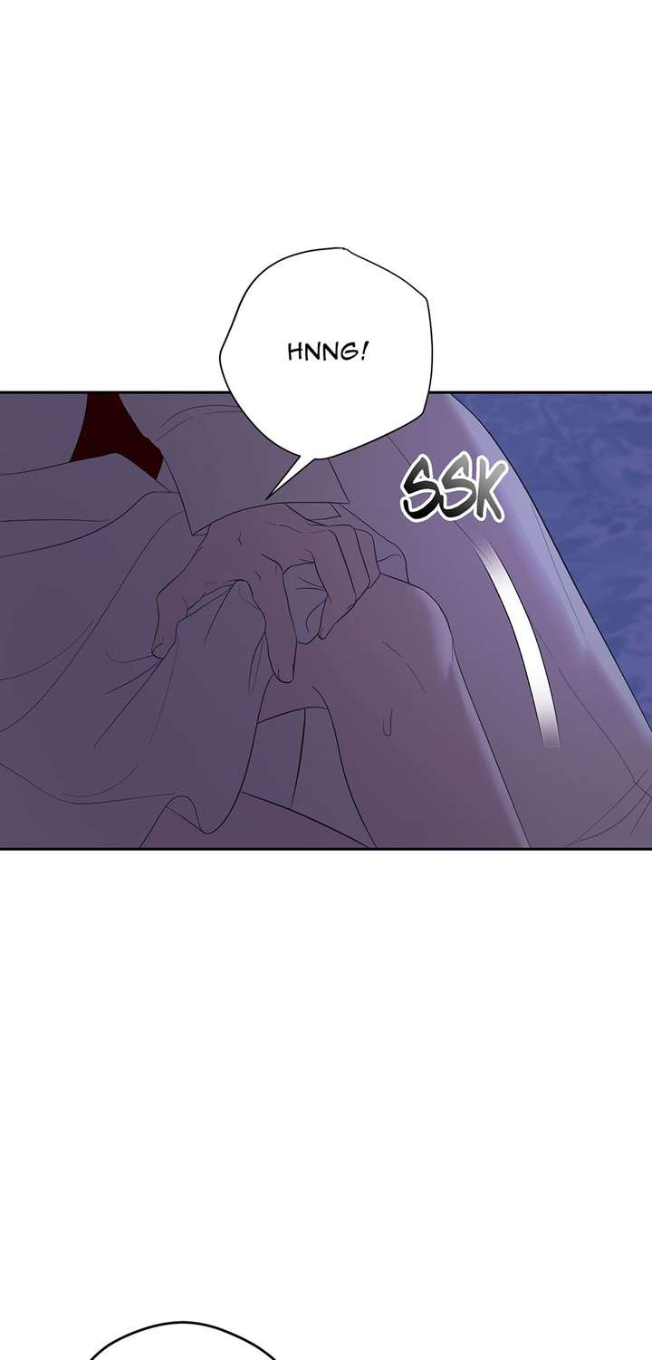 The Maid With A Dictator On A Leash Chapter 53 page 65 - 
