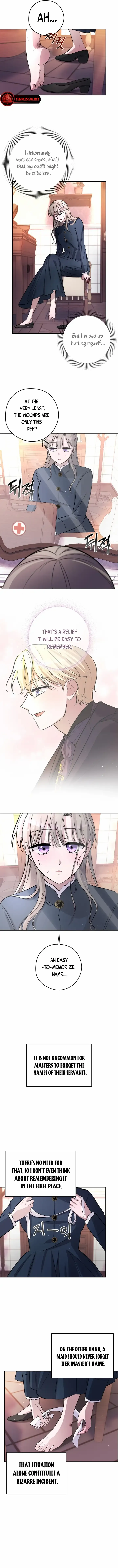The Maid With A Dictator On A Leash Chapter 8 page 8 - 