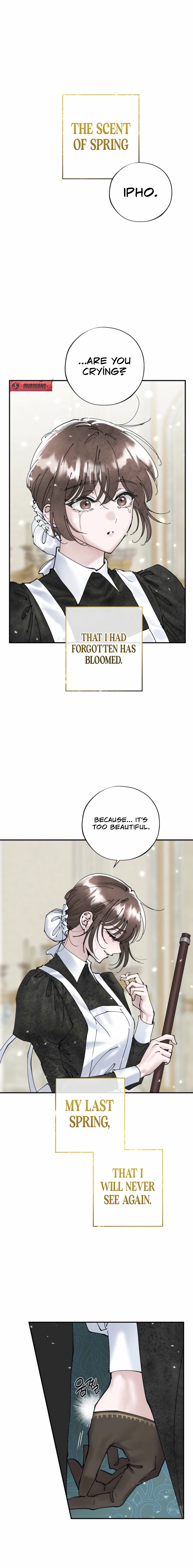 The Maid