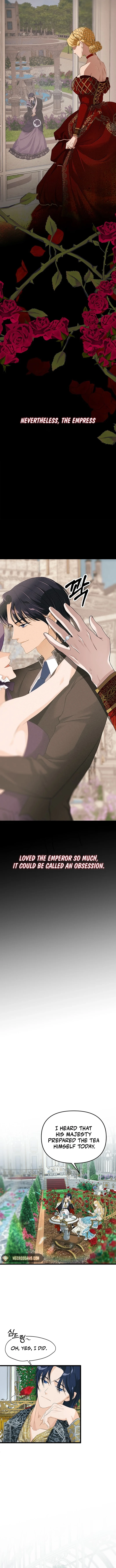 The Majesty Makeover Chapter 1 page 3 - 