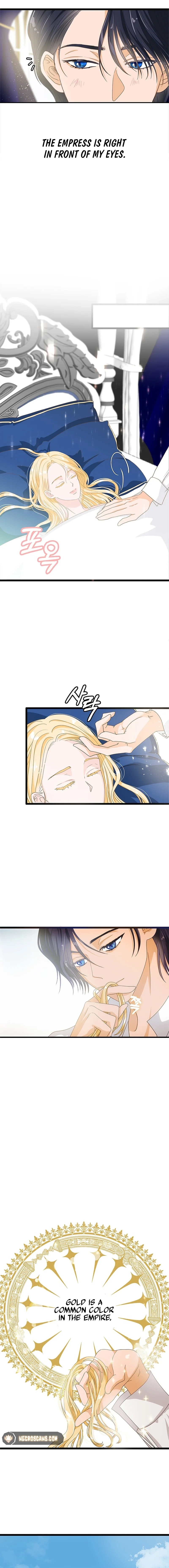 The Majesty Makeover Chapter 3 page 2 - 