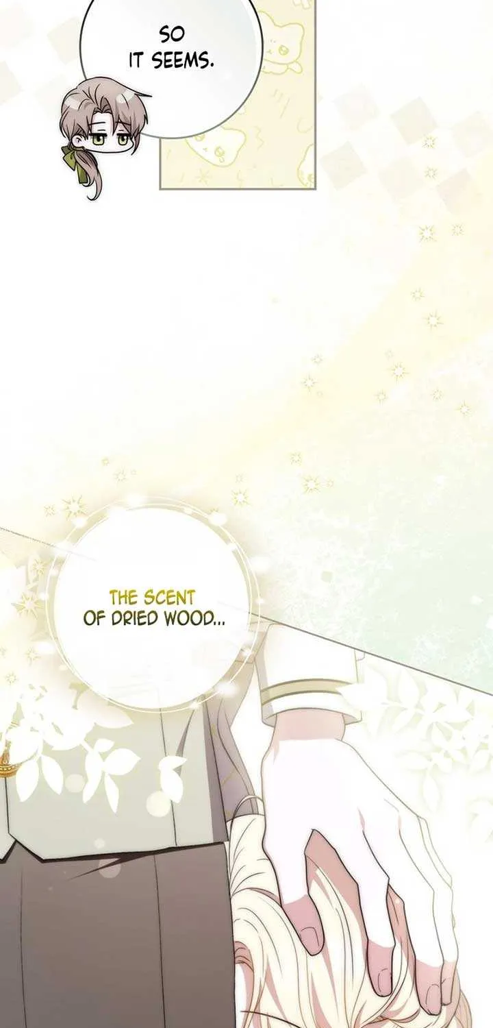 The Male Lead Is Unhealthily Obsessed With My Health Chapter 11 page 74 - 