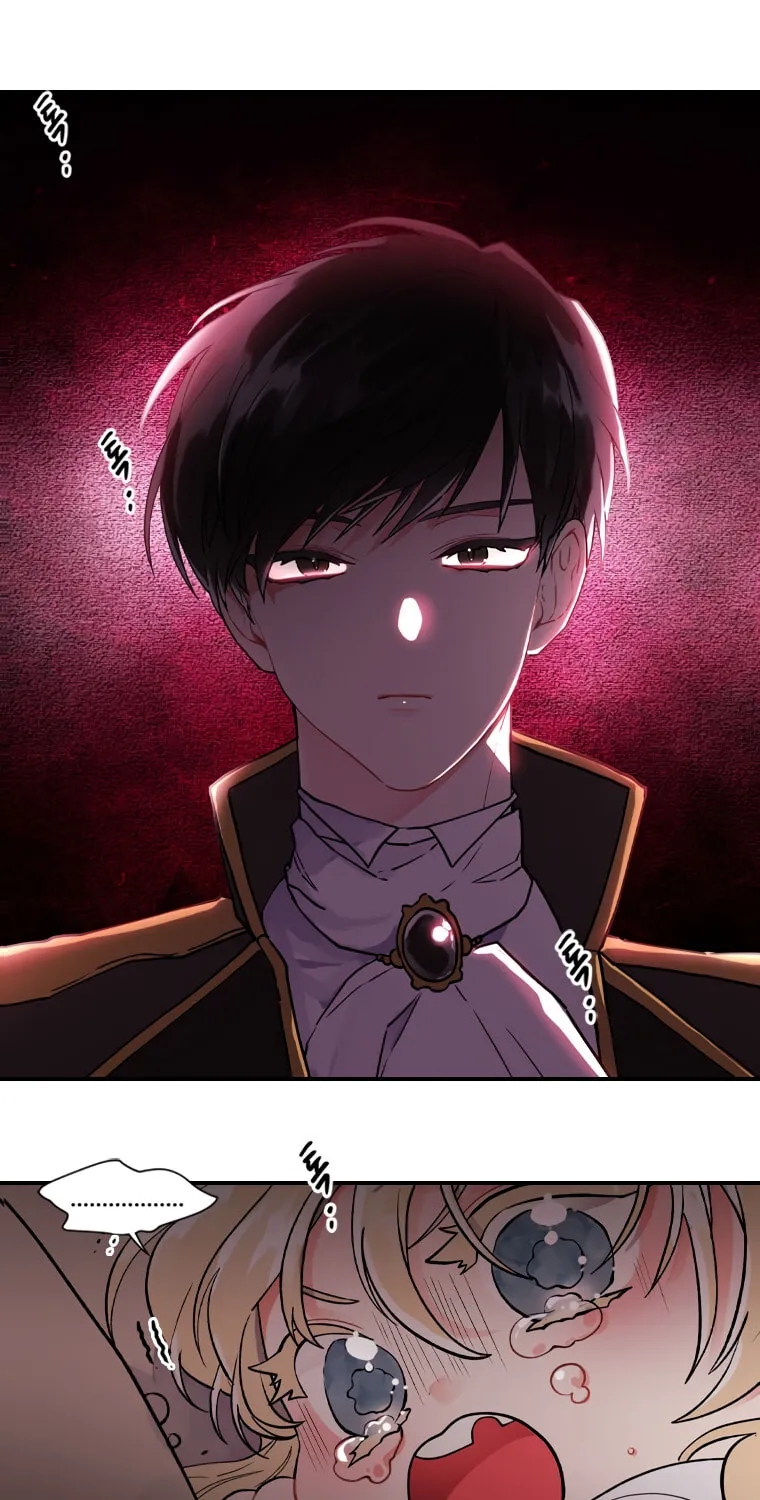 The Male Lead