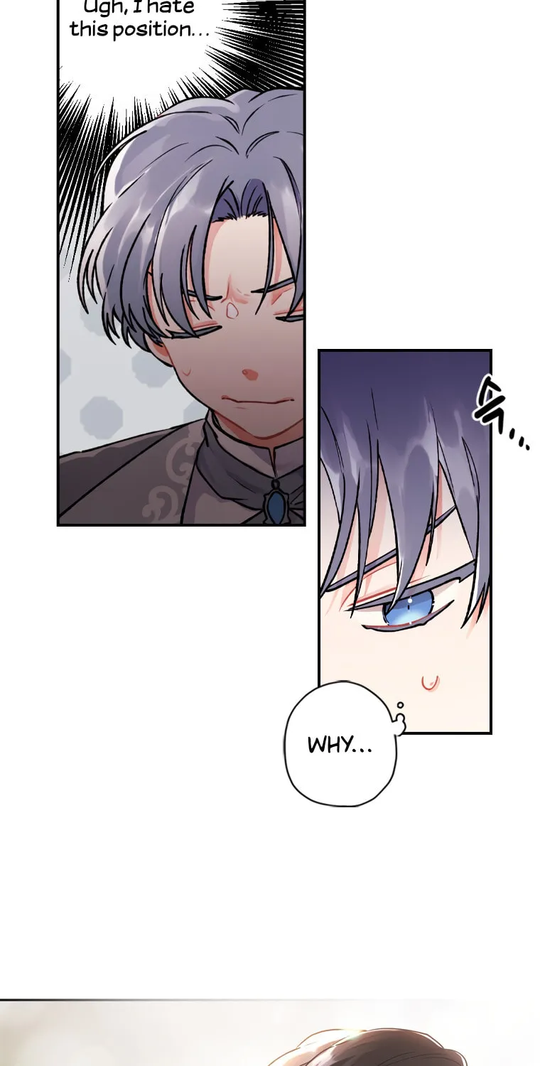 The Male Lead