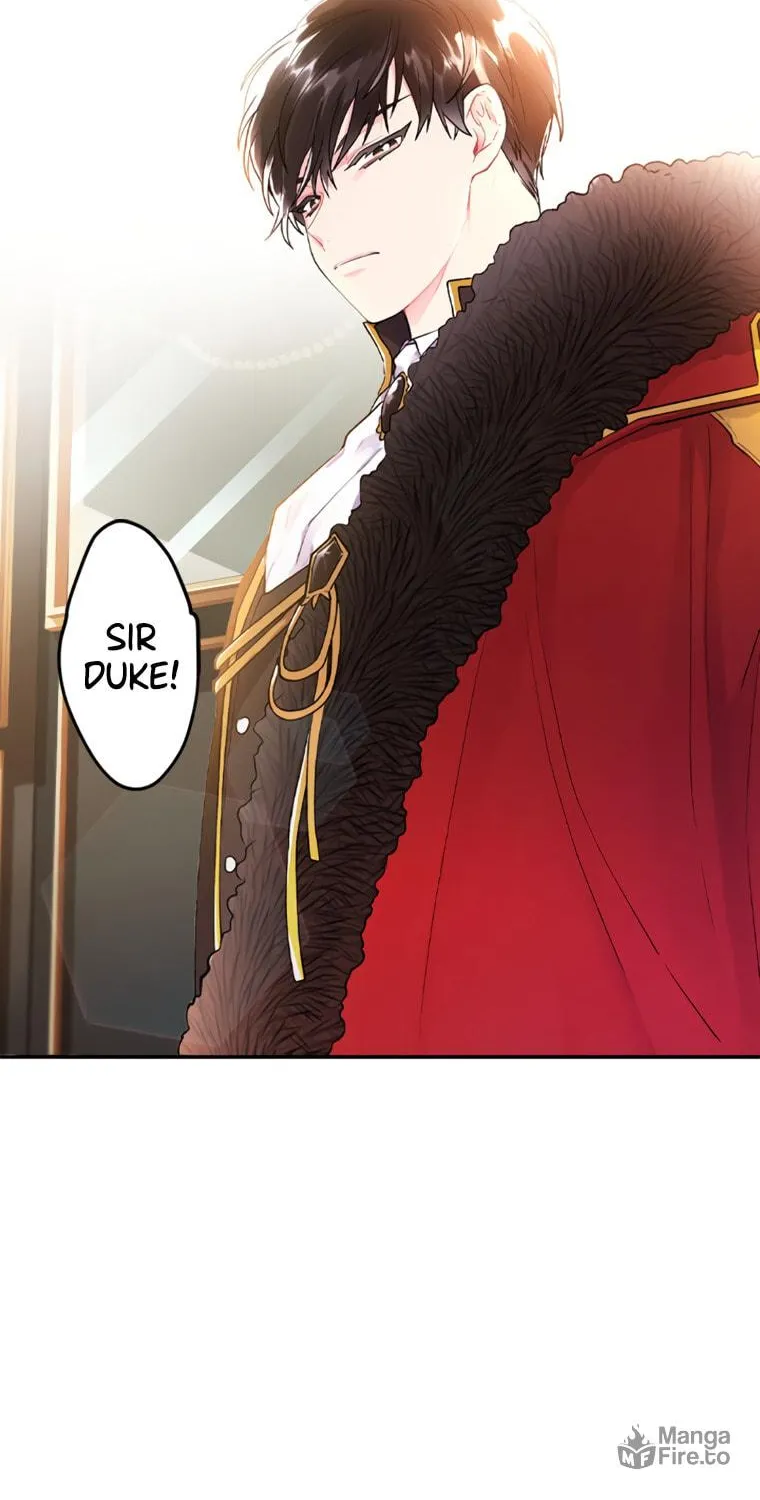 The Male Lead