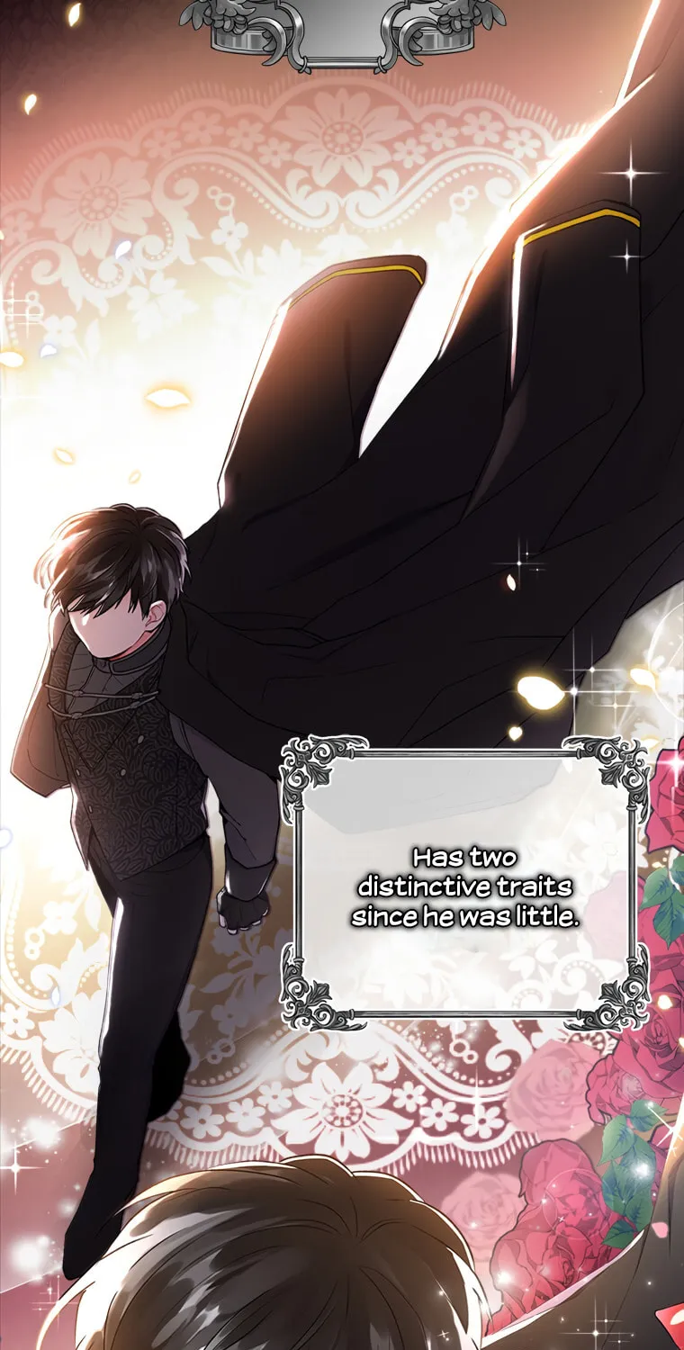 The Male Lead