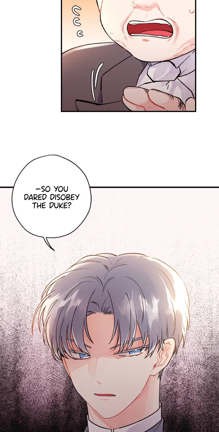 The Male Lead