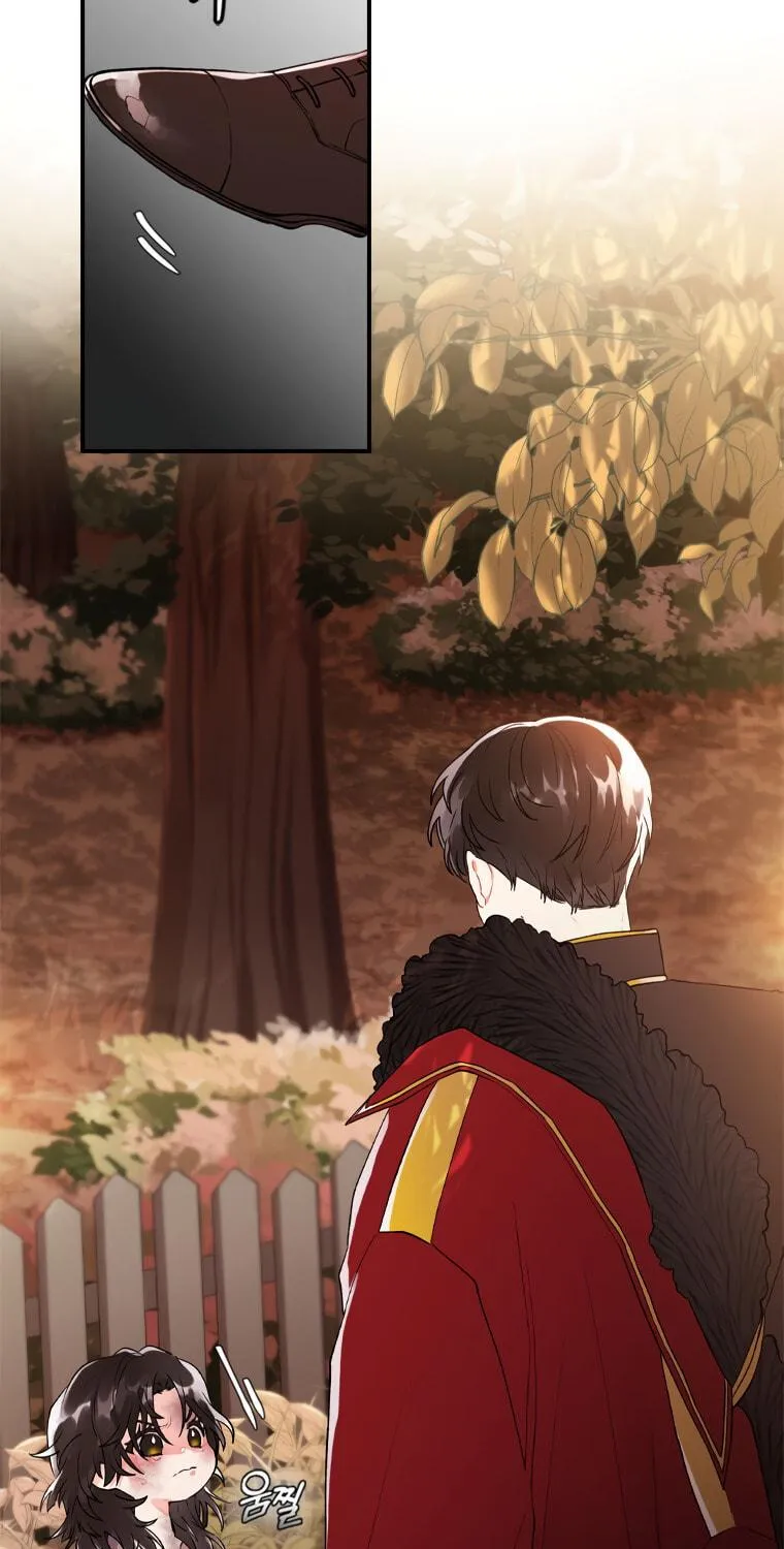 The Male Lead