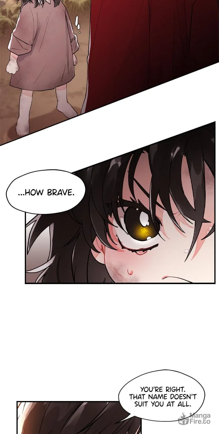 The Male Lead