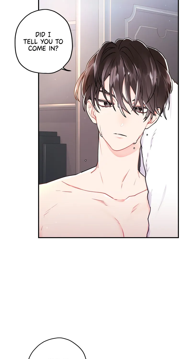 The Male Lead