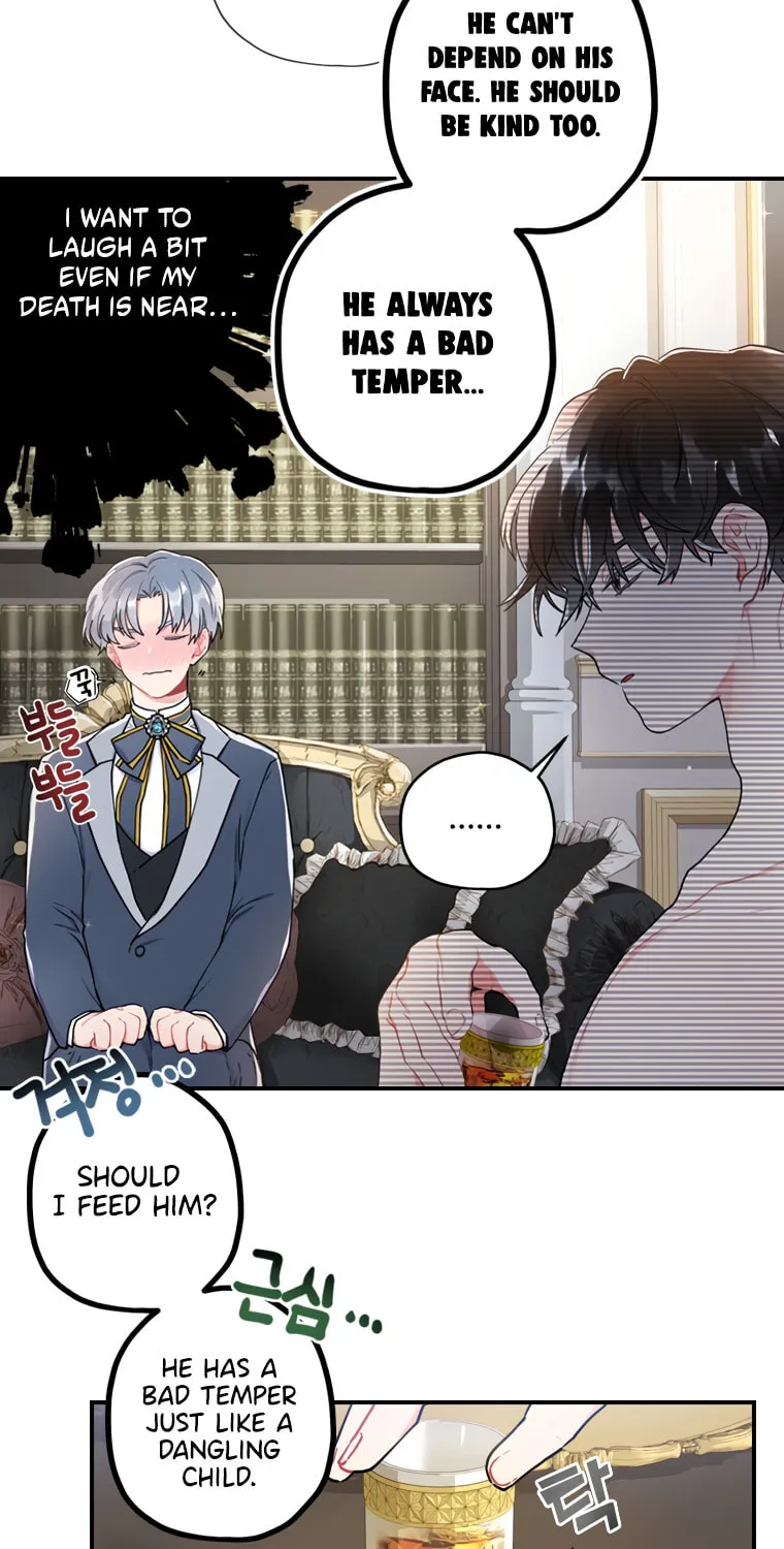 The Male Lead