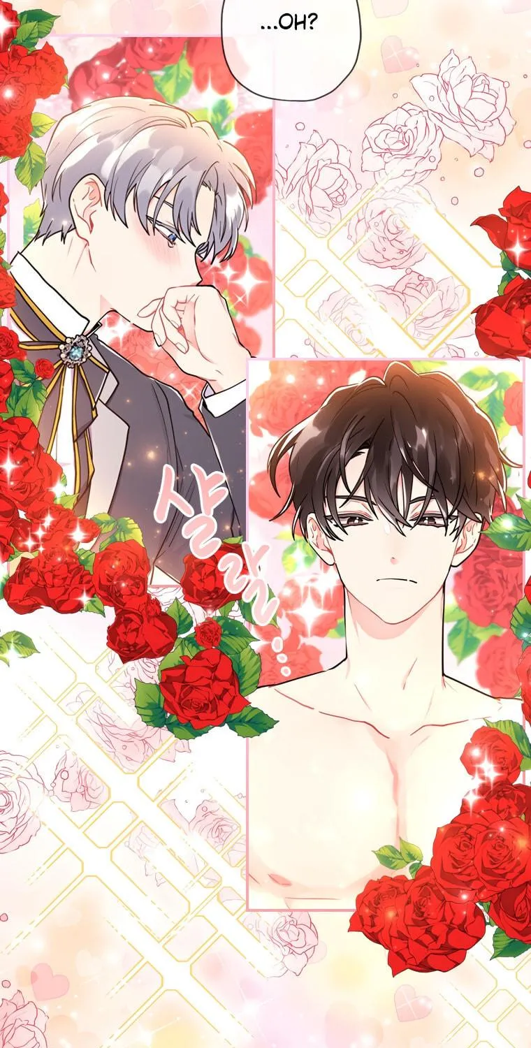 The Male Lead