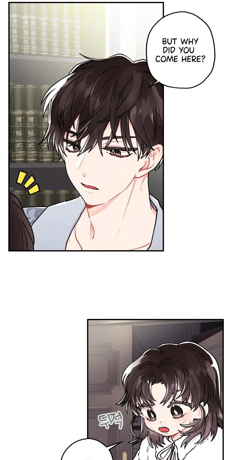 The Male Lead