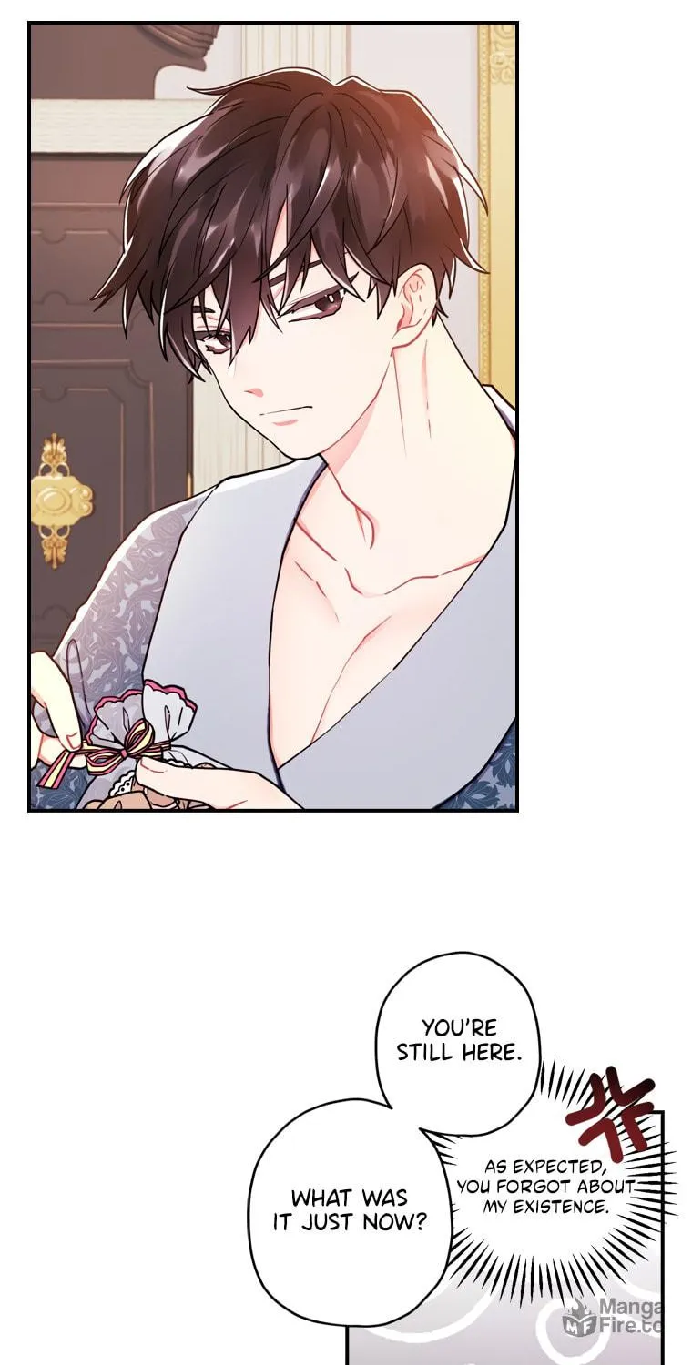 The Male Lead