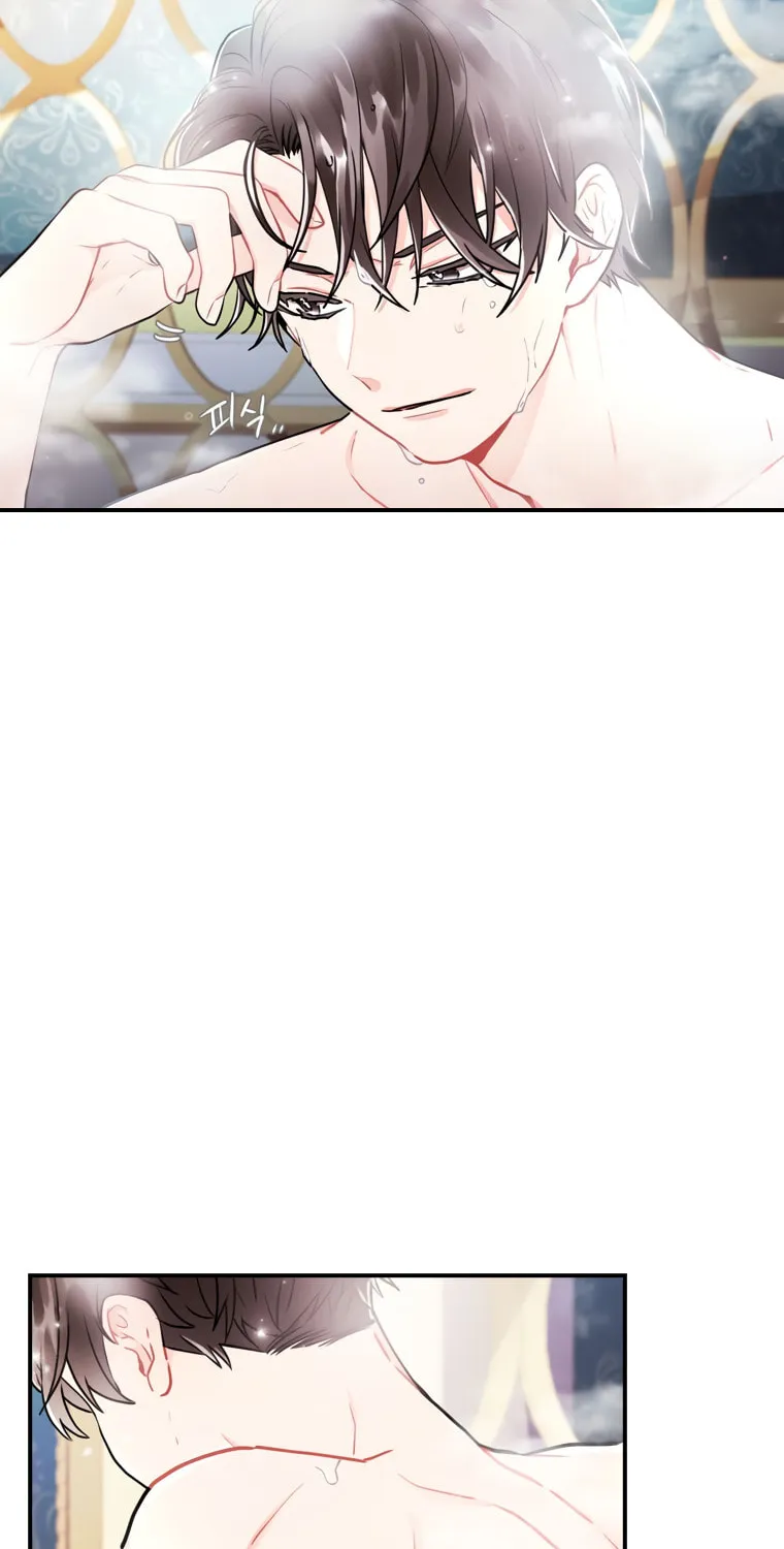 The Male Lead