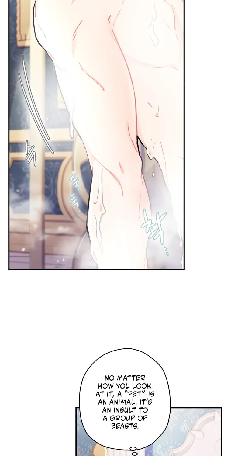 The Male Lead