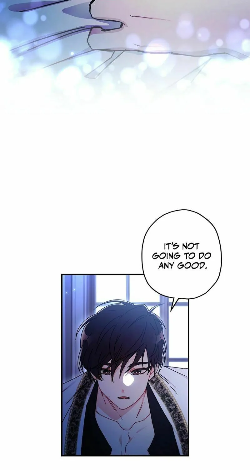 The Male Lead
