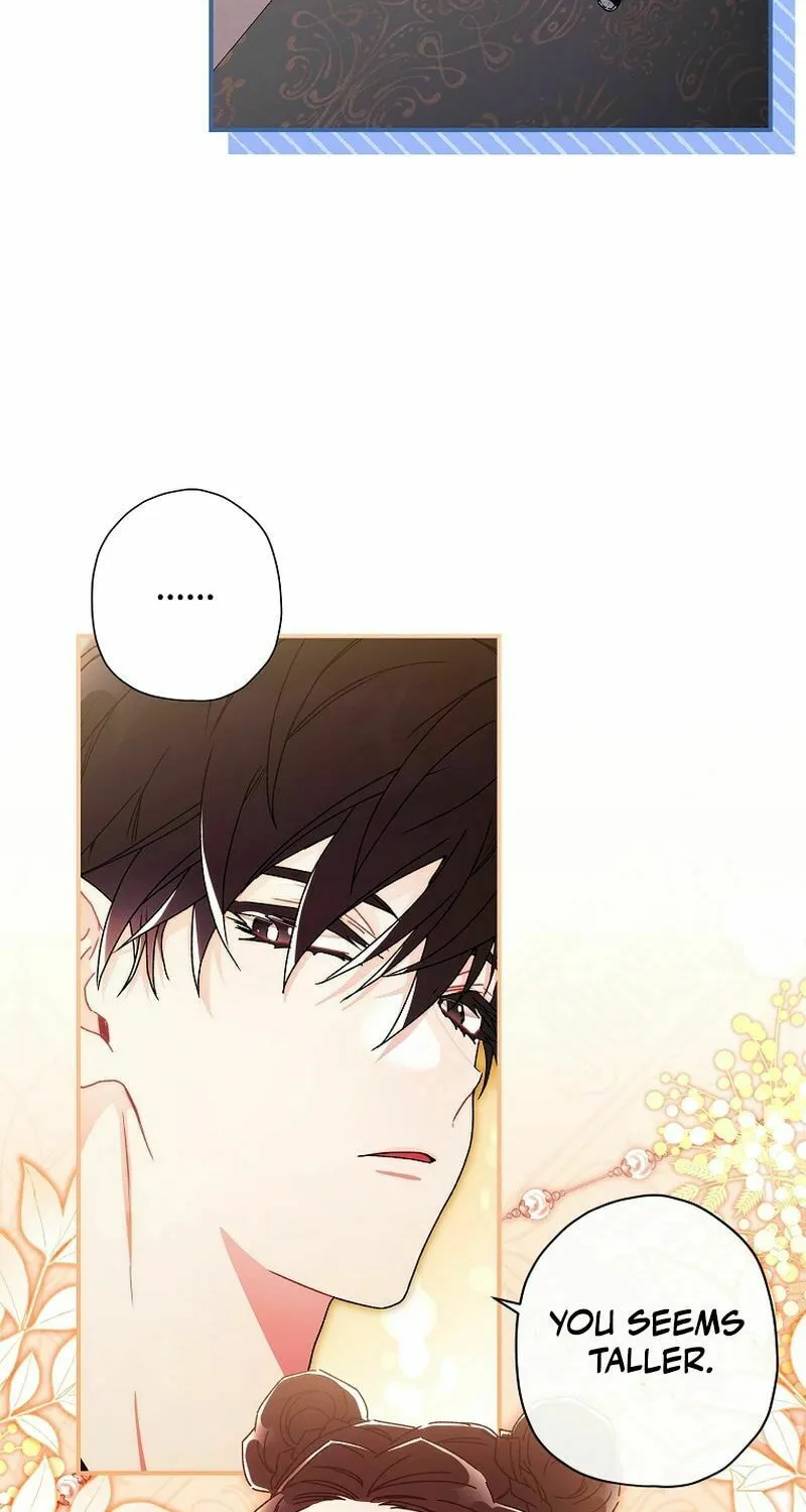 The Male Lead