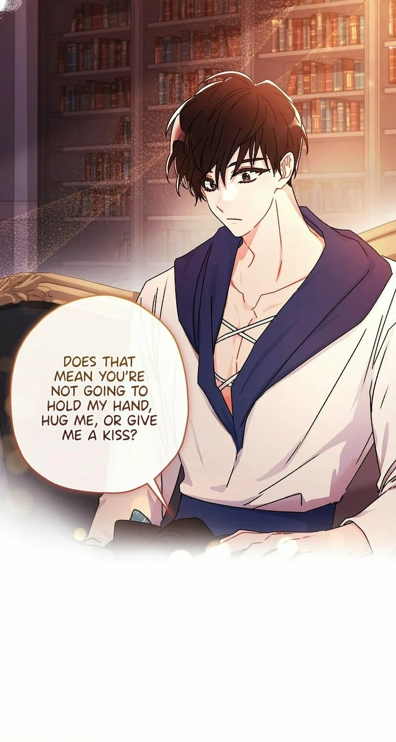 The Male Lead