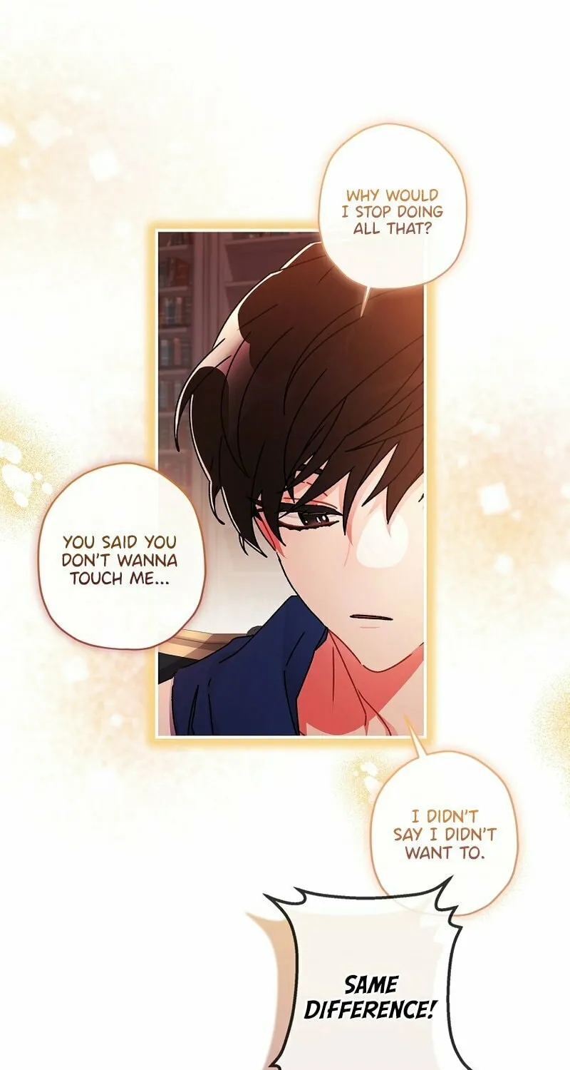 The Male Lead
