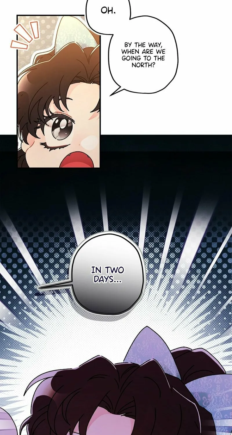 The Male Lead