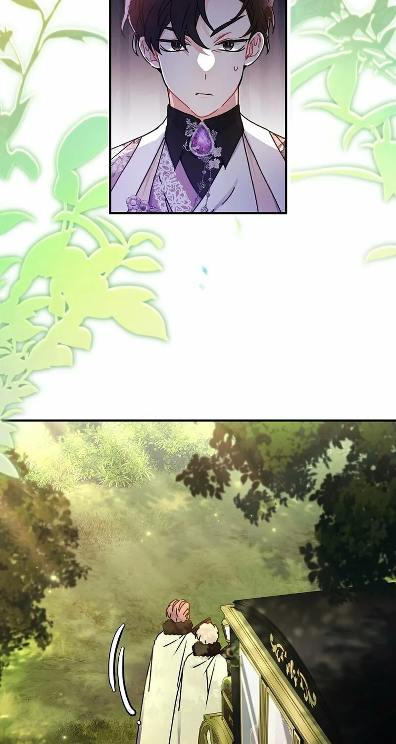 The Male Lead