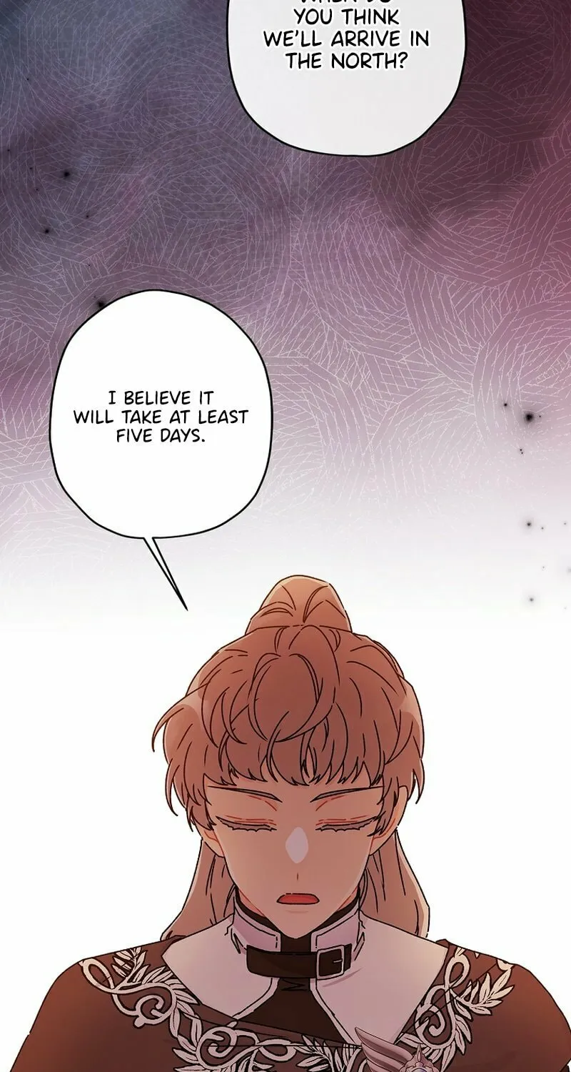 The Male Lead