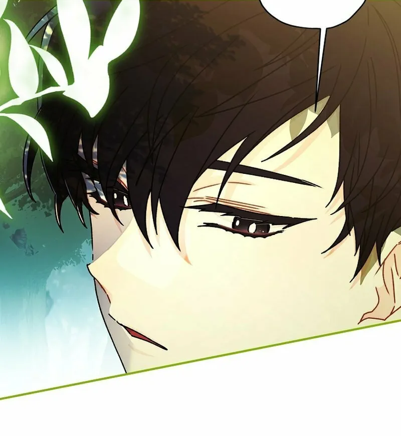 The Male Lead