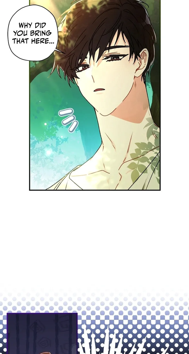 The Male Lead