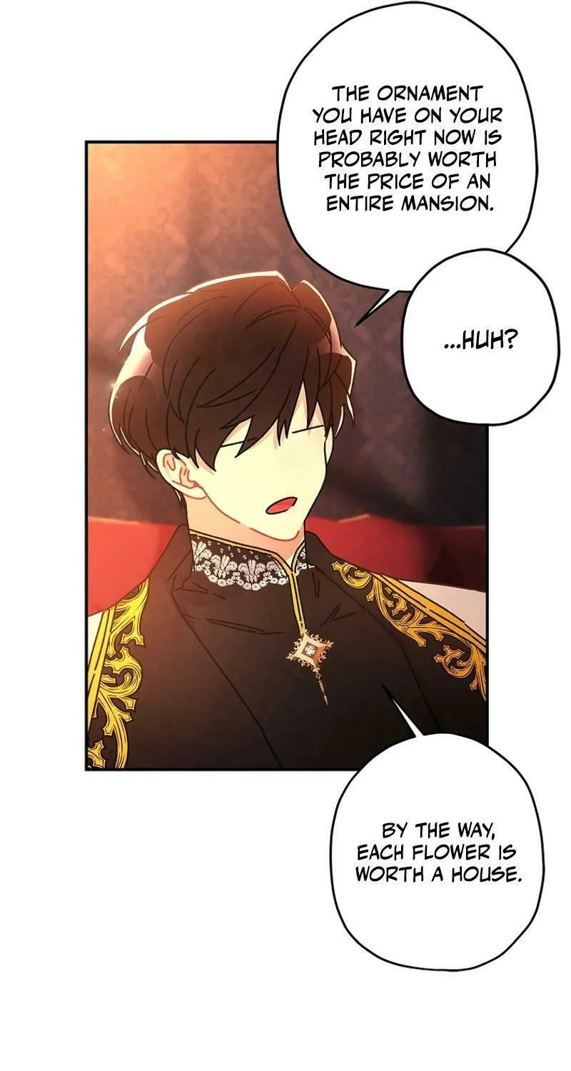 The Male Lead