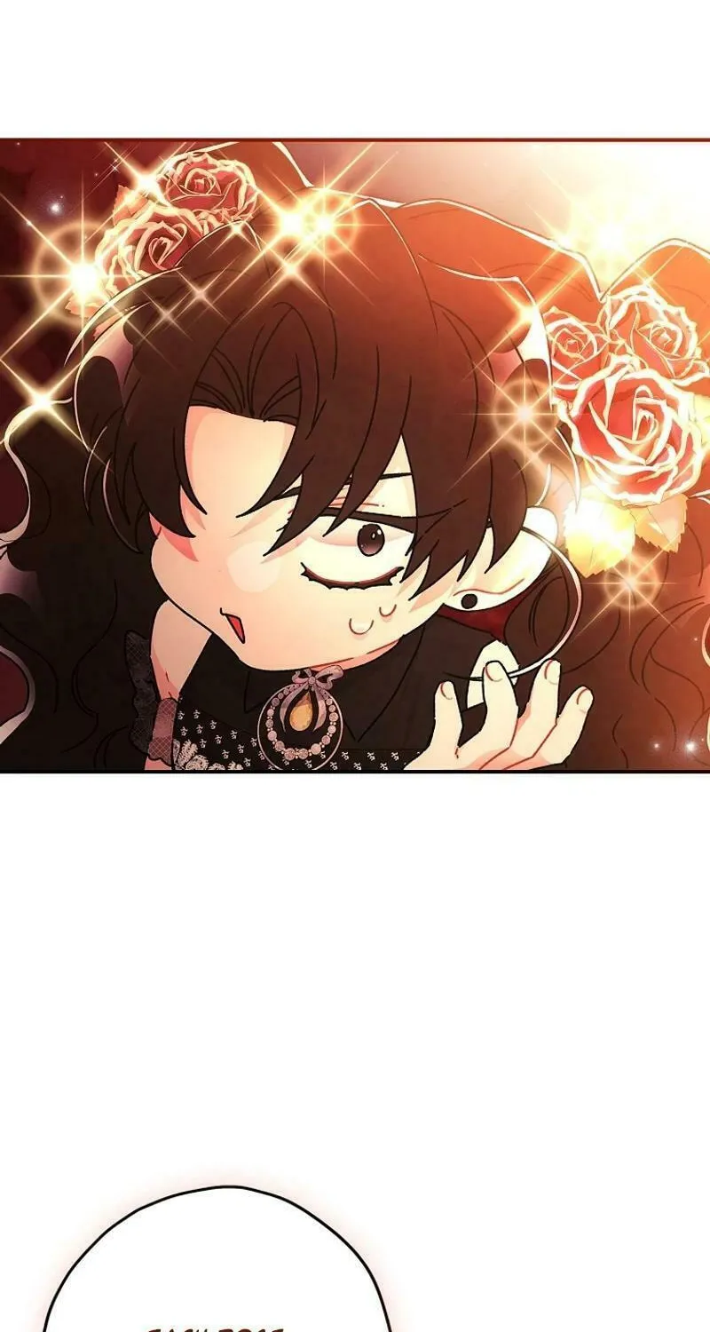The Male Lead