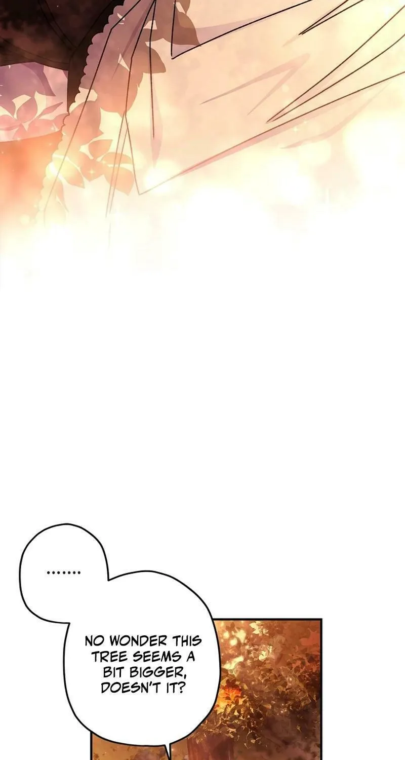 The Male Lead