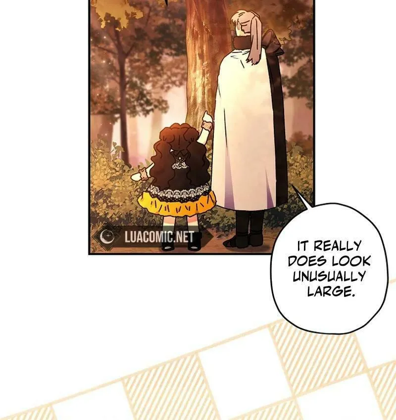 The Male Lead