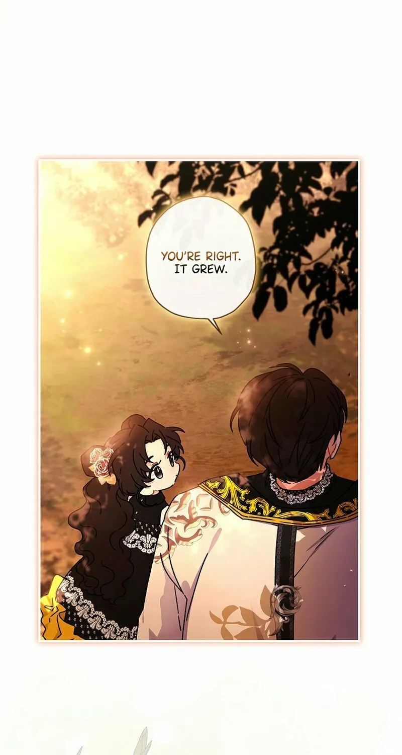 The Male Lead