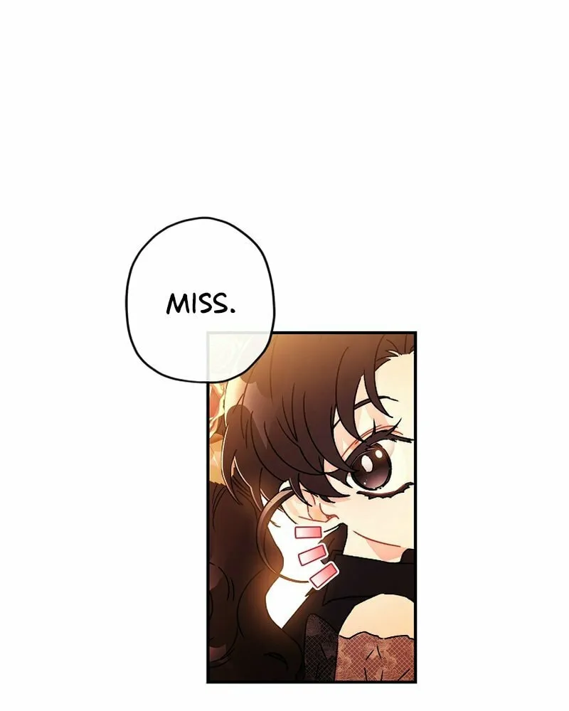The Male Lead