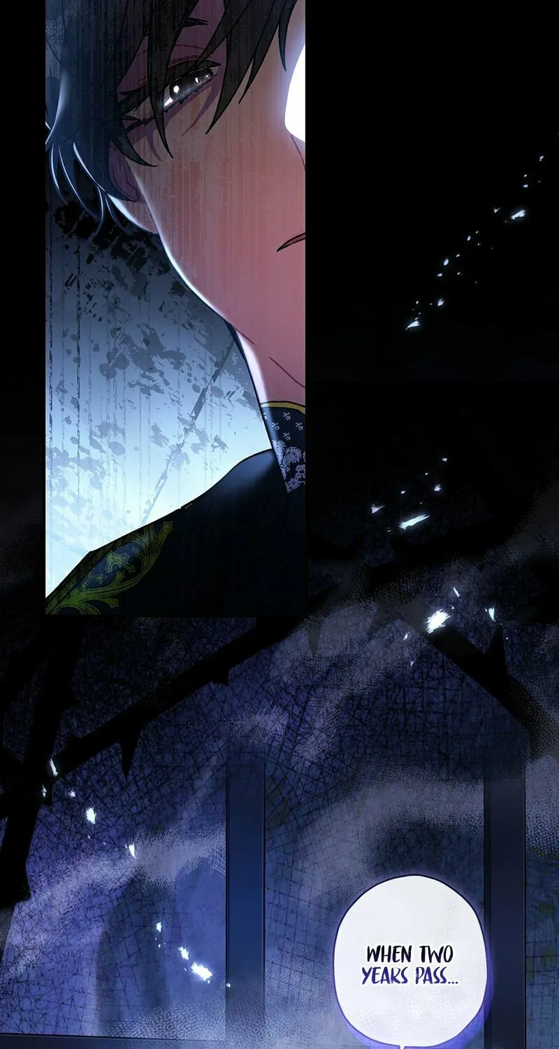 The Male Lead