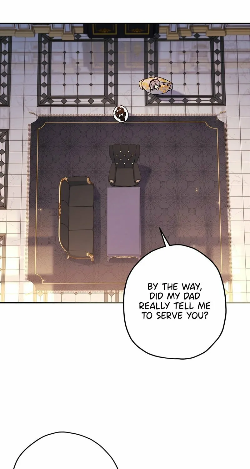 The Male Lead