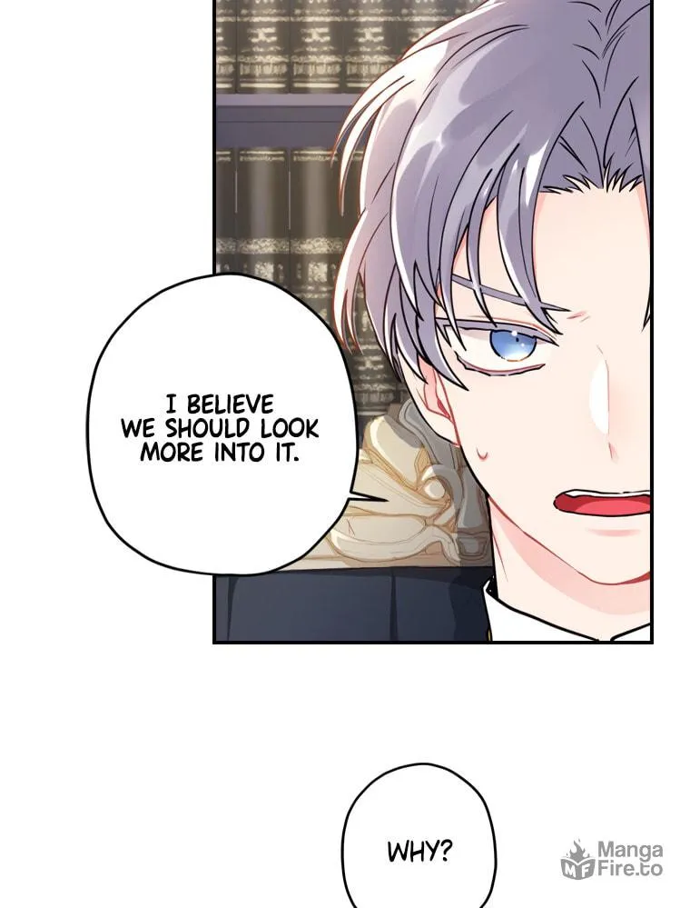 The Male Lead