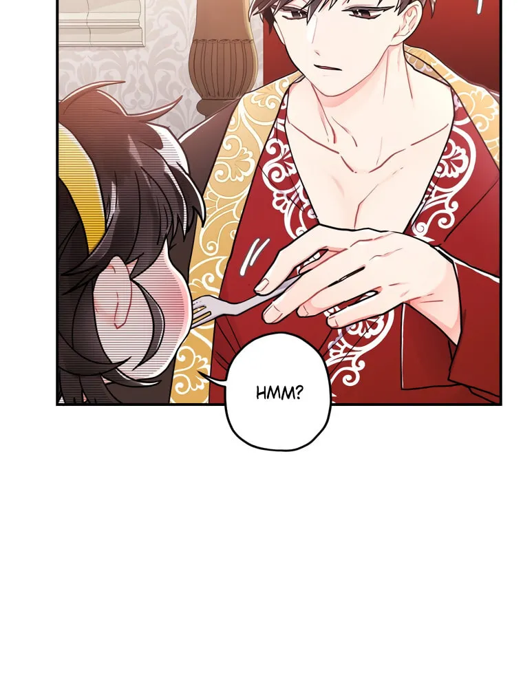 The Male Lead