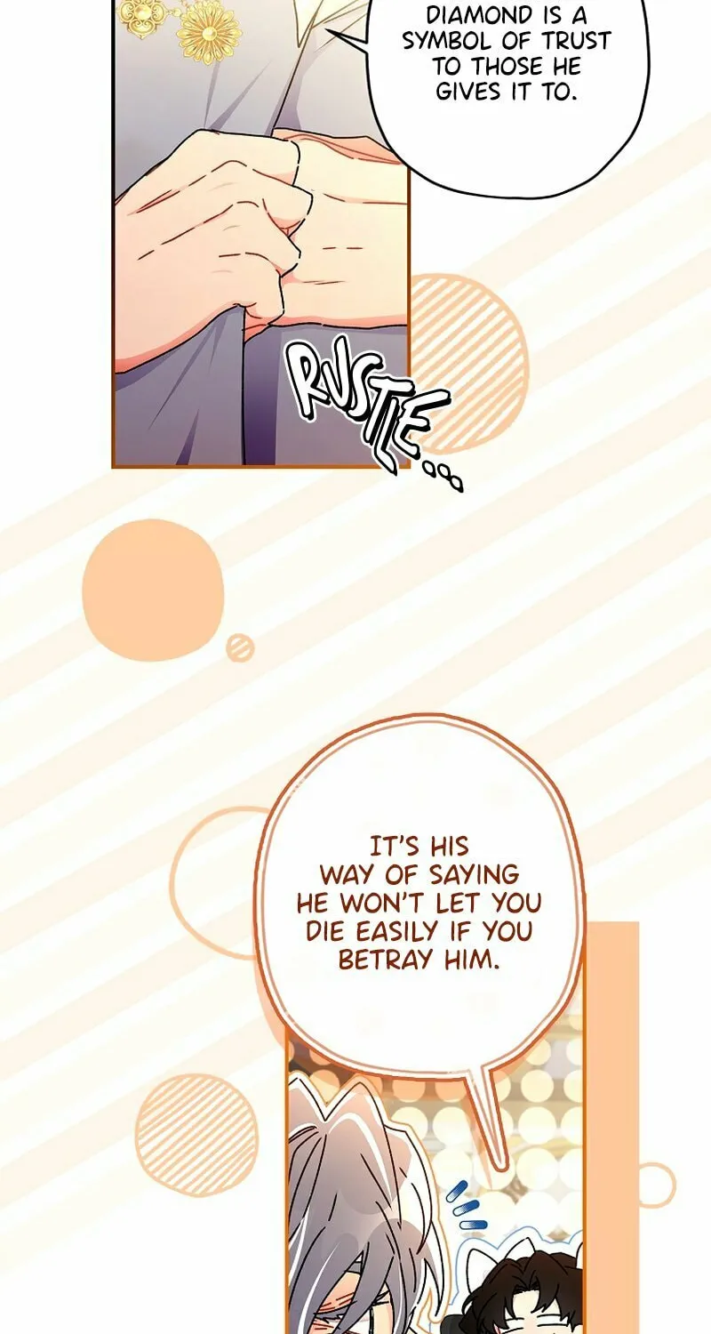 The Male Lead