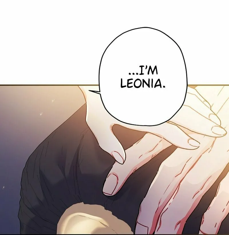 The Male Lead