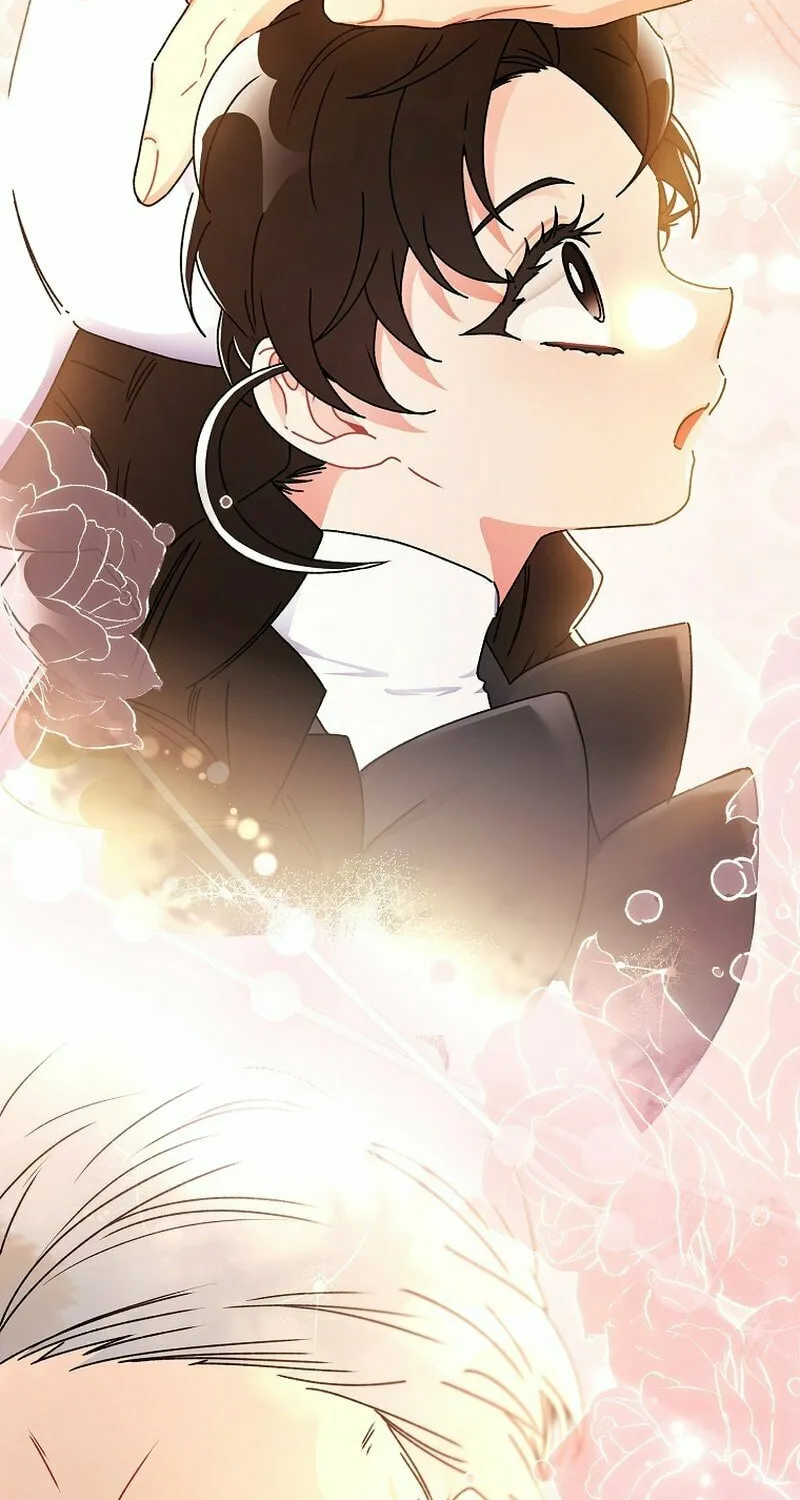 The Male Lead