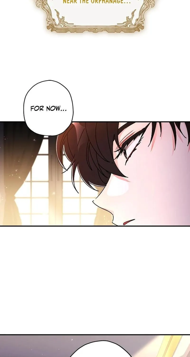 The Male Lead